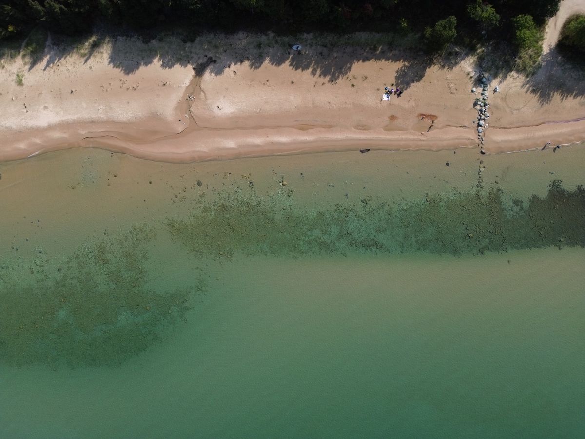 Beach & Wet-Site Hunting